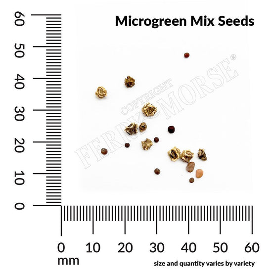 Microgreens, Mild Mix Organic Seeds, 2.5g - Ferry - Morse