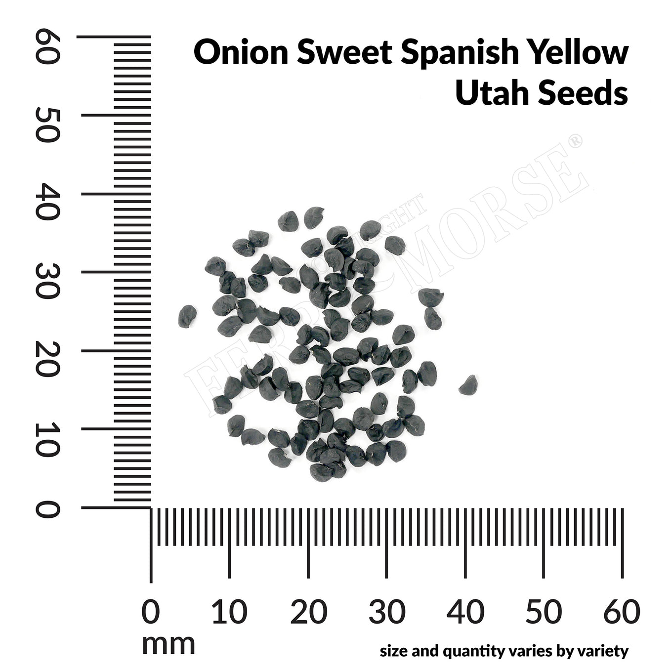 Onion sweet spanish yellow utah seed spill and measurement