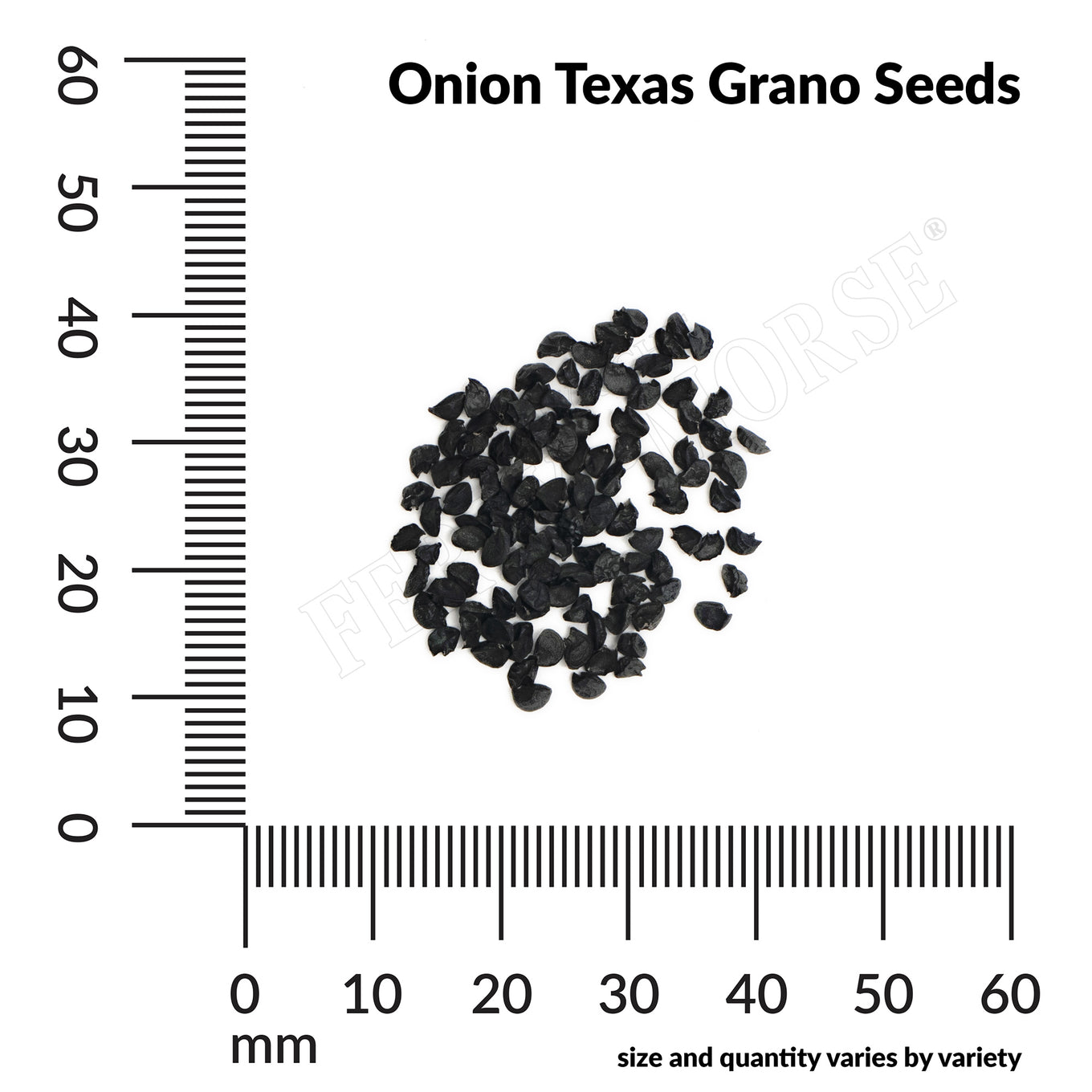 Onion texas grano seed spill and measurement
