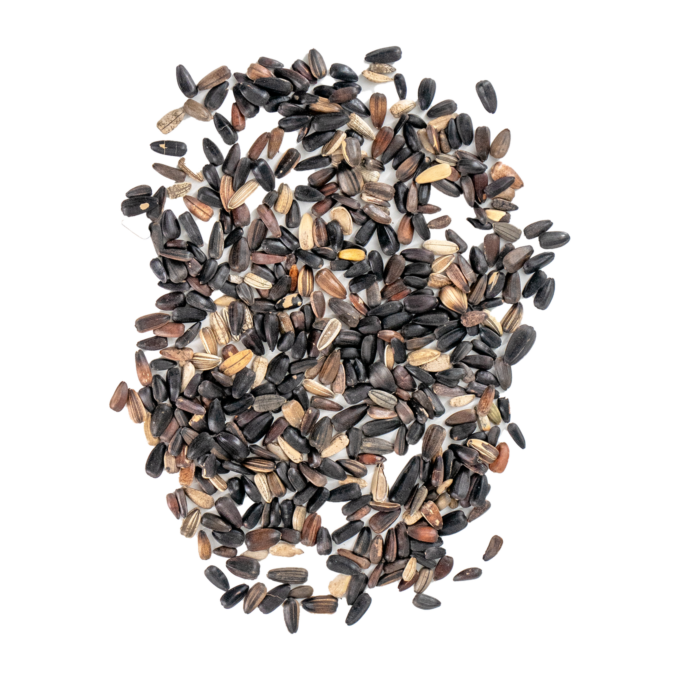 Red Shades Mix Bulk Sunflower seed spill