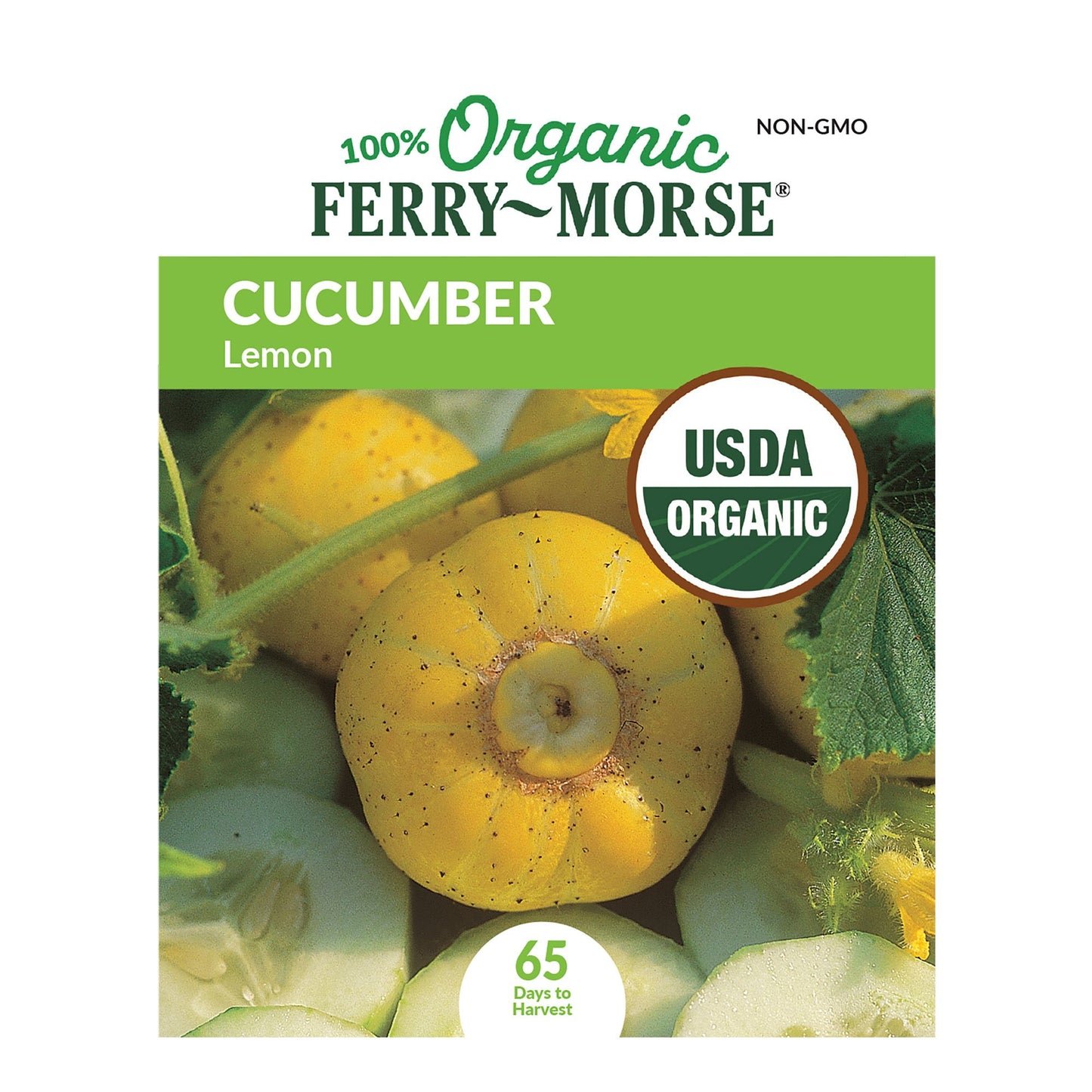 Cucumber, Lemon Organic Seeds