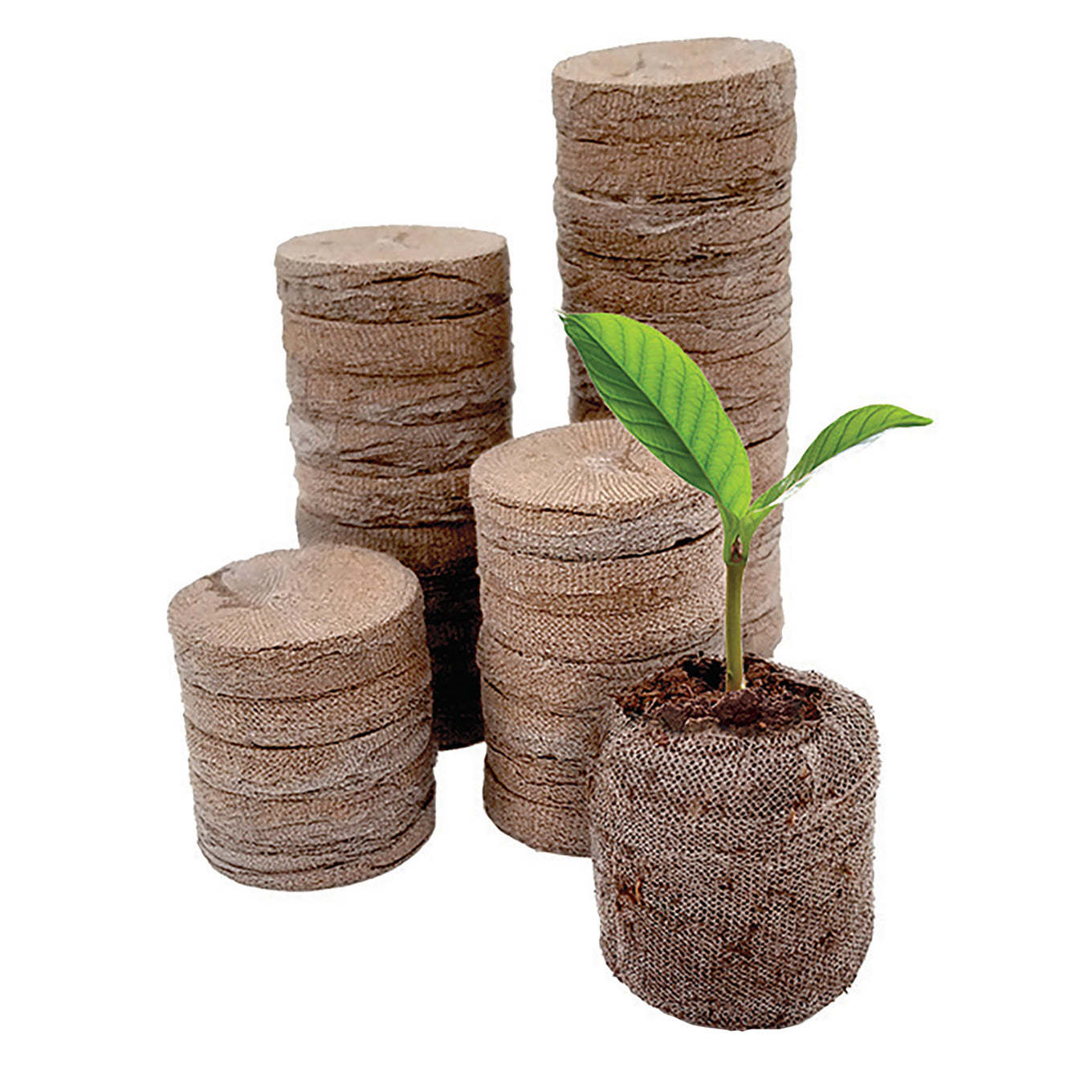 Jiffy pellets stacked
