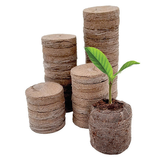 Jiffy Self - Watering Seed Starting Kit, 34 Cell 36mm Peat Pellets - Ferry - Morse