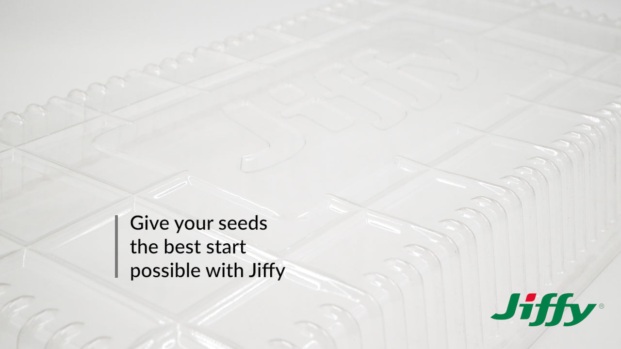 Jiffy Clear-Humidity GRO-Dome. 2" height allows room for seed germination & early plant growth. Designed to fit perfectly with Jiffy plant trays. Give your seeds the best start possible with Jiffy.