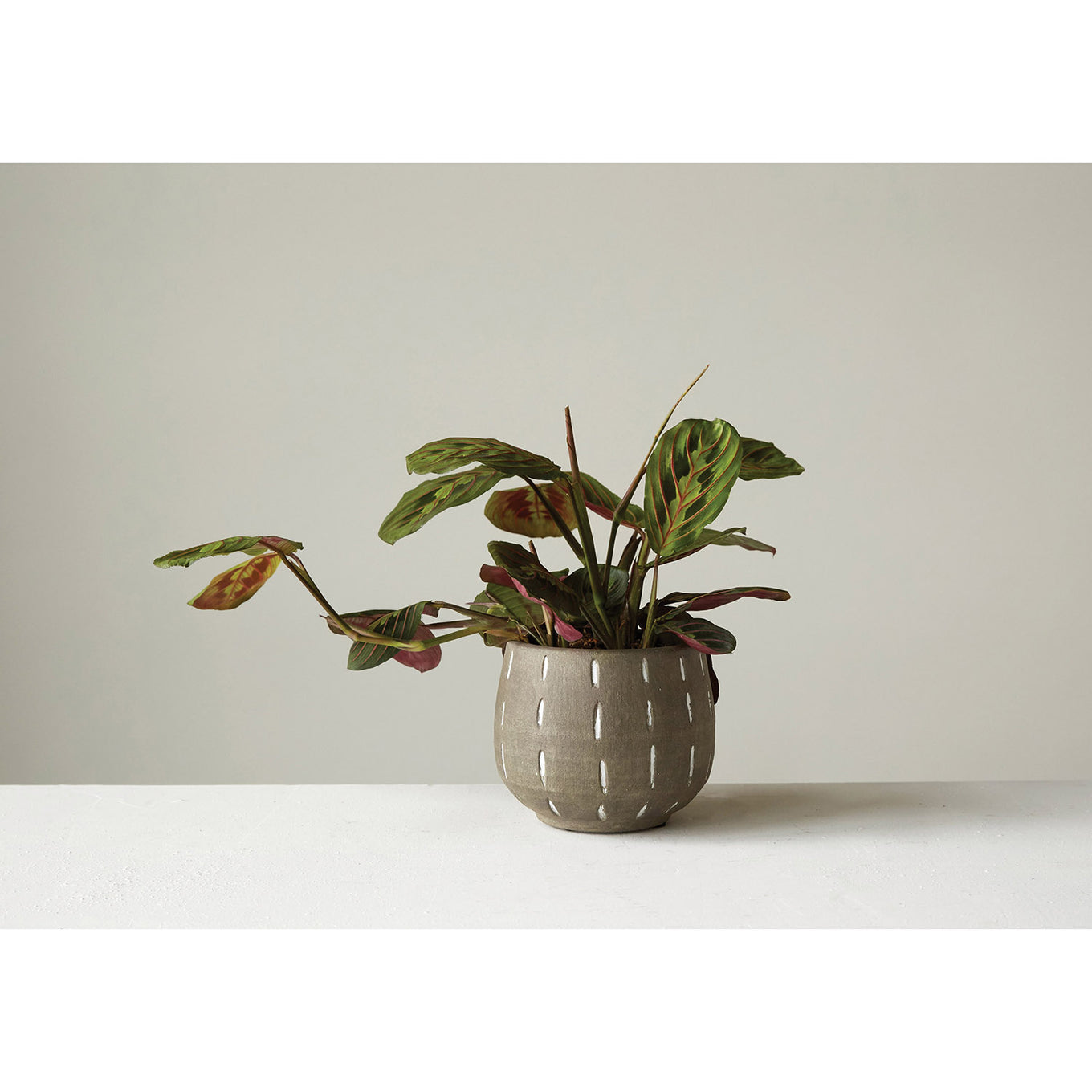 A grayish-brown terracotta planter with hand painted white lines.