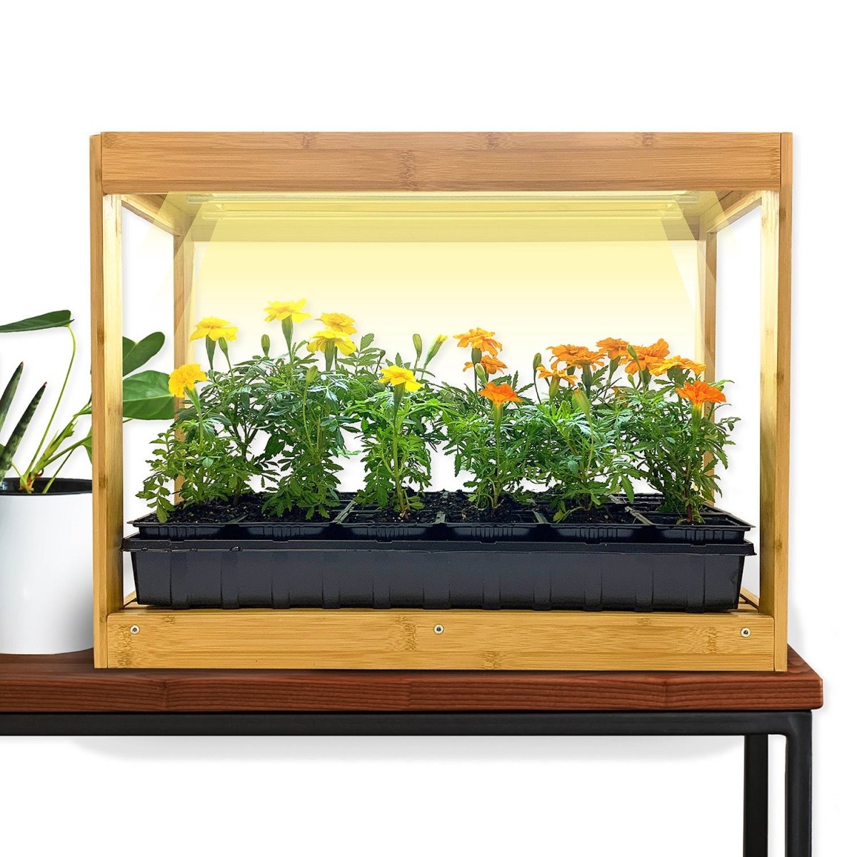 modern grow lights for indoor plants Ferry-Morse Modern Indoor Bamboo LED Growhouse