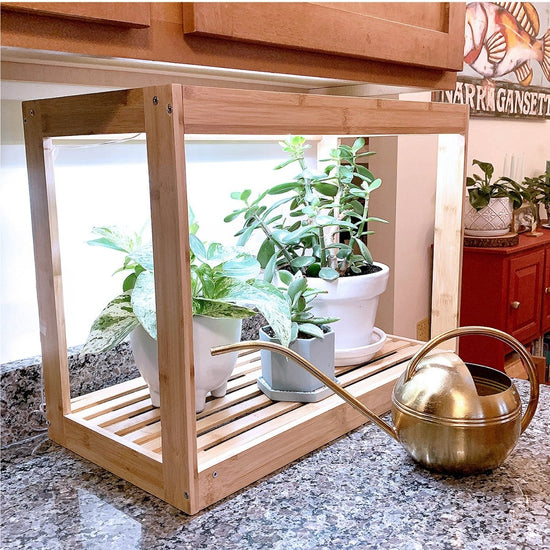 Ferry - Morse Modern Indoor Bamboo LED Growhouse - Ferry - Morse