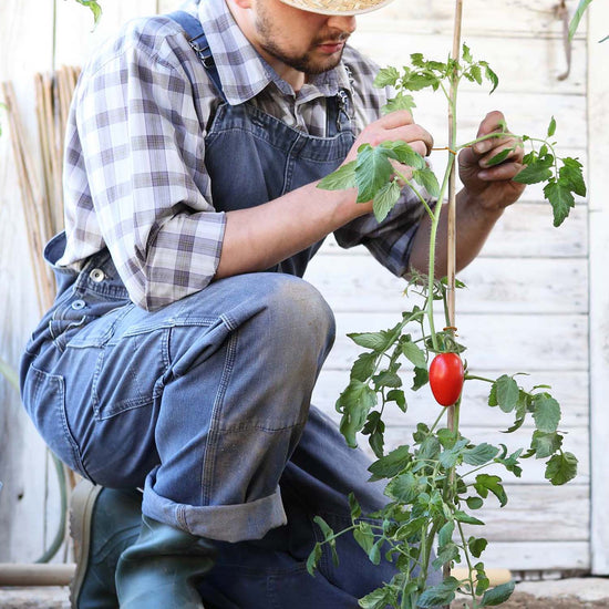 Ferry-Morse natural jute twine in use