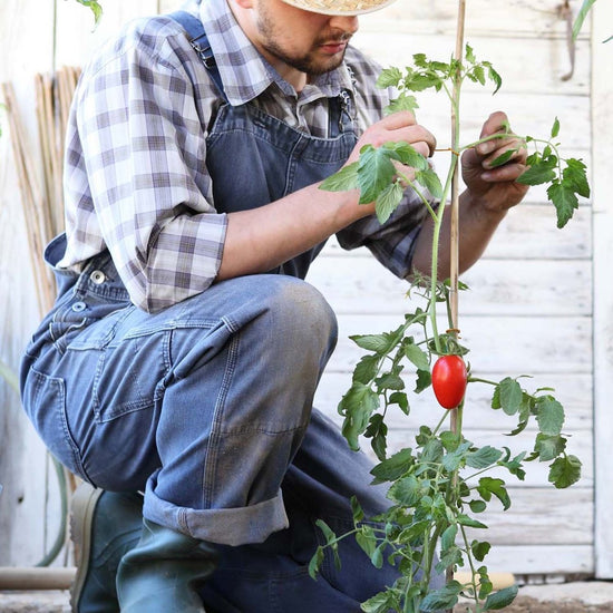 Ferry - Morse Natural Jute Twine (325 ft) - Ferry - Morse