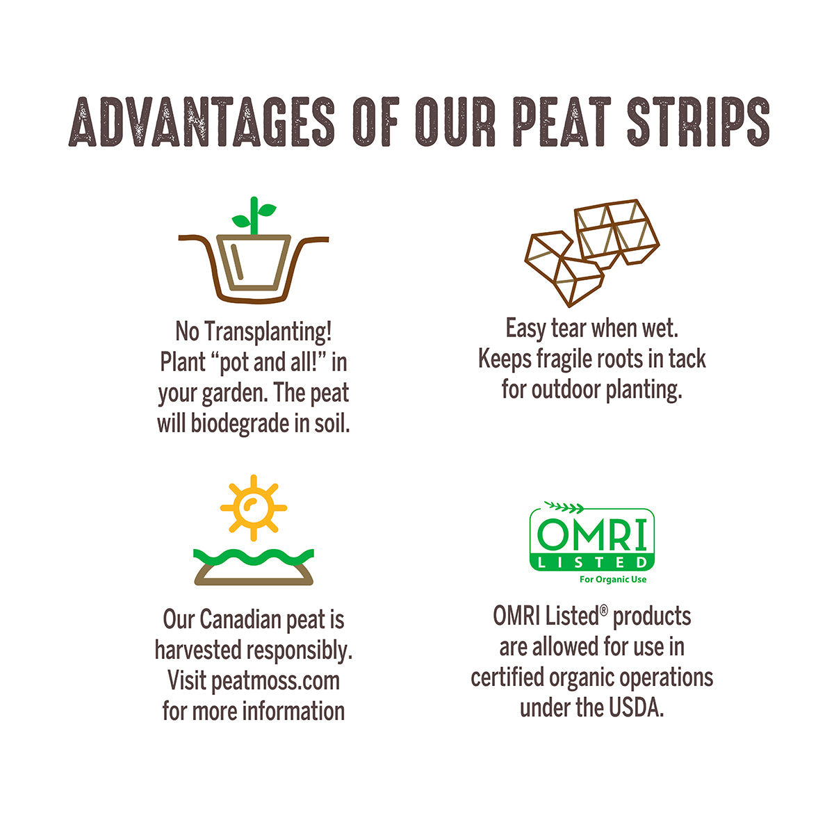 Advantages of Jiffy peat strips