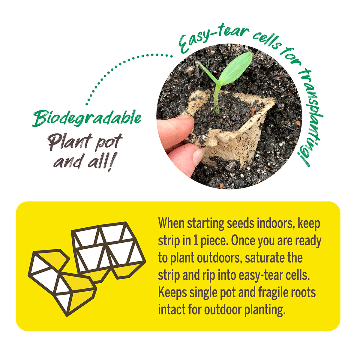 Jiffy strips biodegrable call out