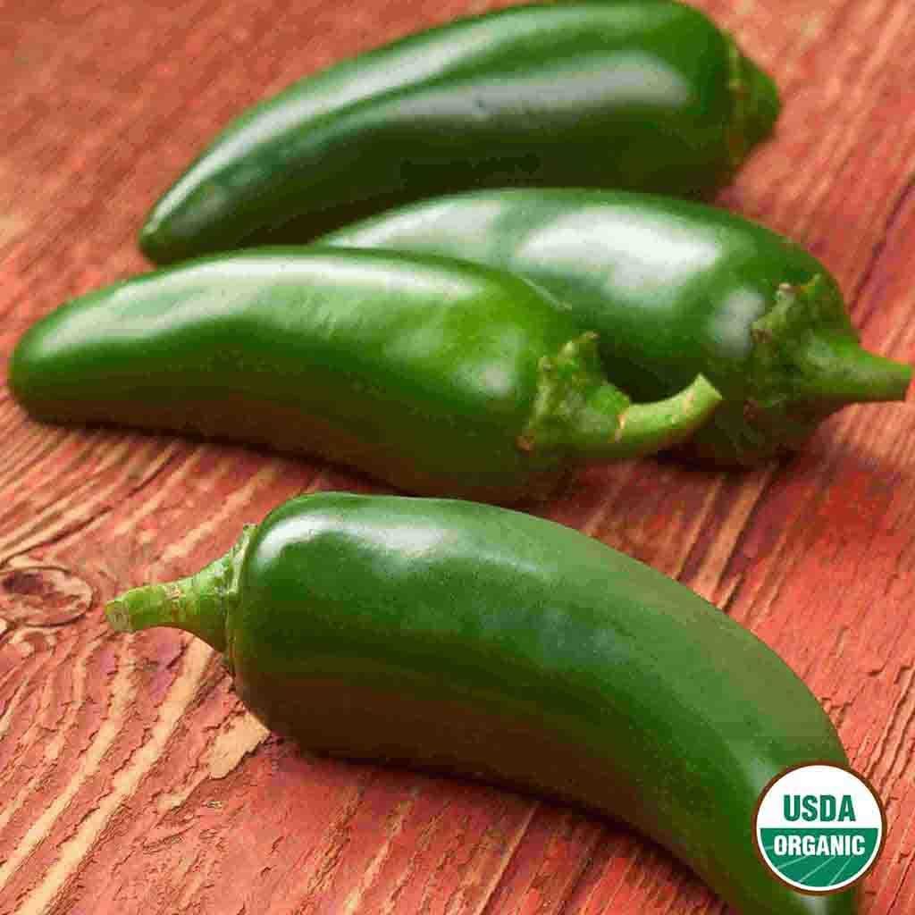 Organic Pepper, Jalapeno Early Seeds | Vegetable Garden | Hot