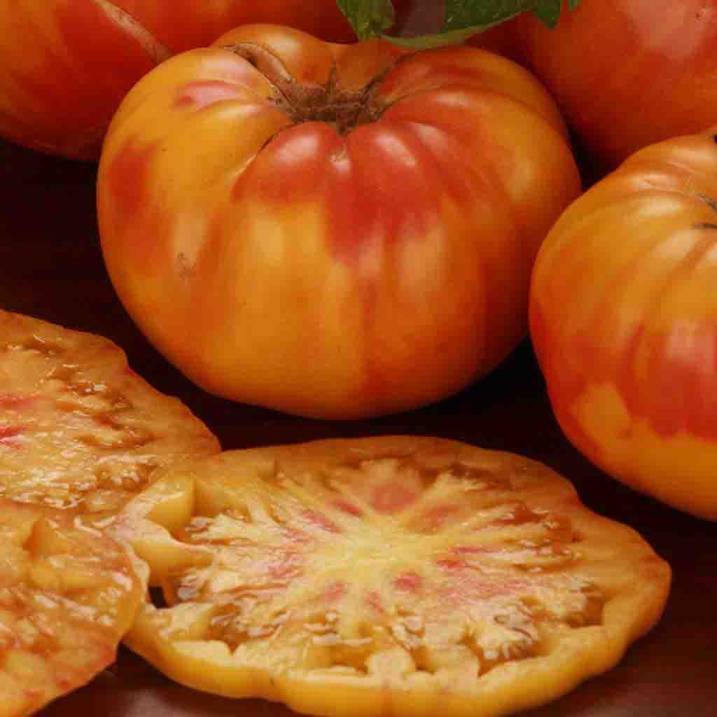 Tomato, Brandywine Red Annual Vegetable Organic Seeds – Ferry-Morse
