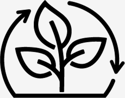 Plant Lifecycle