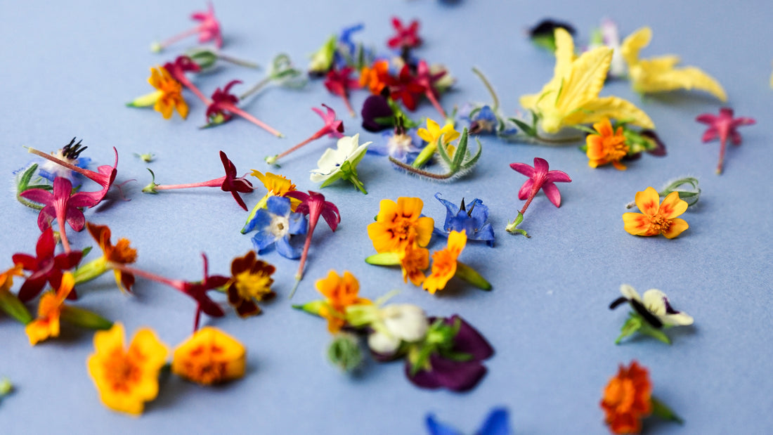 Making Pretty Plates With Edible Flowers