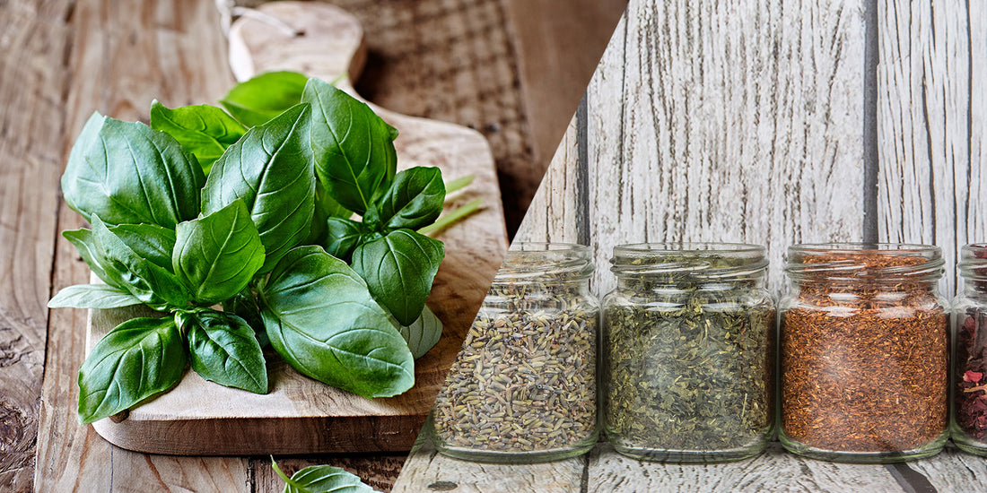 Indoor Herbs to Spice Up Your Winter Cooking