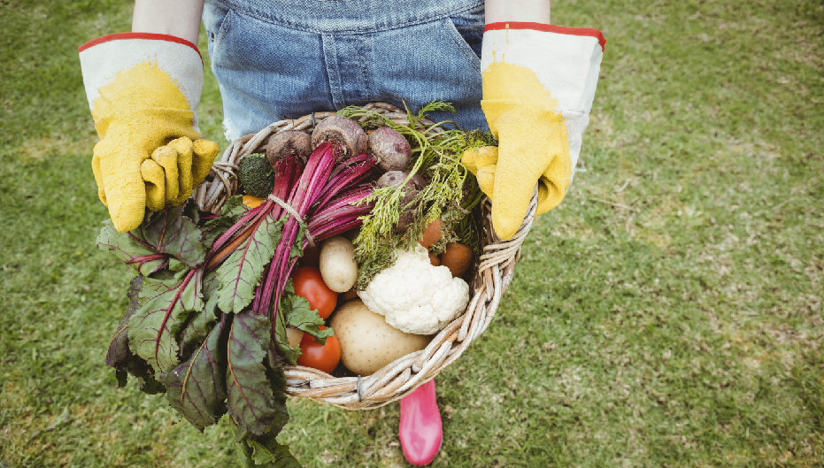 5 Ways To Preserve Your Harvest