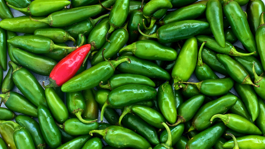 Top Tips For Growing Chili Peppers