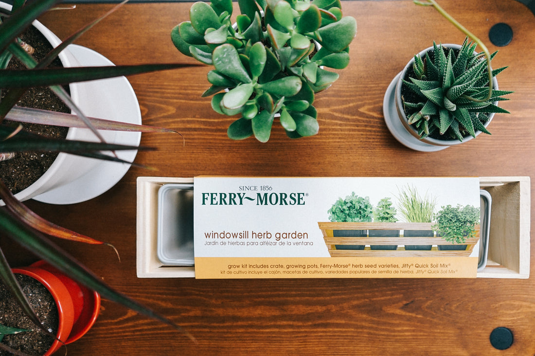 Ferry-Morse Windowsill Herb Garden