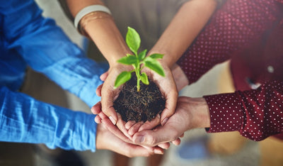 Choosing the right gardening gift: Great gardening gifts made easy