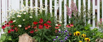 How to grow your own backyard flower garden