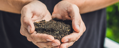 What is my soil type? How to identify and amend your garden soil