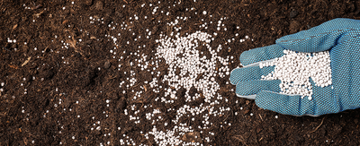 Understanding fertilizer: How and when to use fertilizer for your indoor or outdoor garden needs