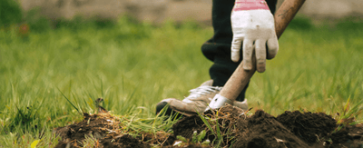 Beginner gardening: How to start a backyard garden from seed in 9 easy steps