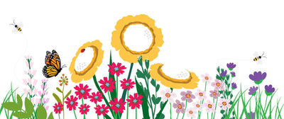 Flower Seed Mixes - a guide to effortless beauty