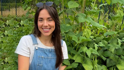 From My Bowl: In the Garden with the Green Bean Harvest