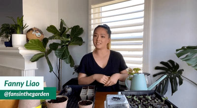 Garden Get-Together Livestream - Fanny Liao - Ferry-Morse