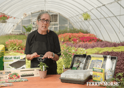 Grow Light - Ferry-Morse