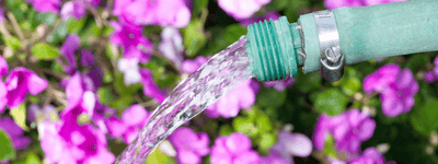 How much water is my garden getting? - Ferry-Morse
