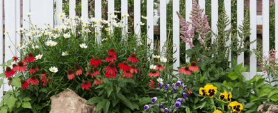 How to grow your own backyard flower garden - Ferry-Morse
