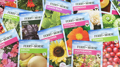 How To Read A Seed Packet - Ferry-Morse