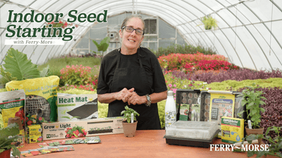 Indoor Seed Starting - Ferry-Morse