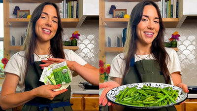 Recipe - From My Bowl: Garden Fresh Green Bean Recipe - Ferry-Morse