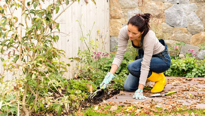 Transition Your Garden For Fall in 7 Steps - Ferry-Morse