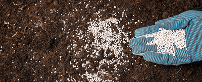Understanding fertilizer: How and when to use fertilizer for your indoor or outdoor garden needs - Ferry-Morse