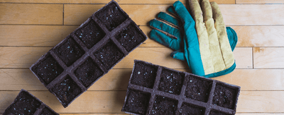 What is indoor seed starting? Why is indoor seed starting often needed in gardening? How to get started with growing seeds indoors - Ferry-Morse