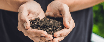What is my soil type? How to identify and amend your garden soil - Ferry-Morse