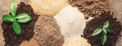 What is the importance of soil texture in a garden? - Ferry-Morse
