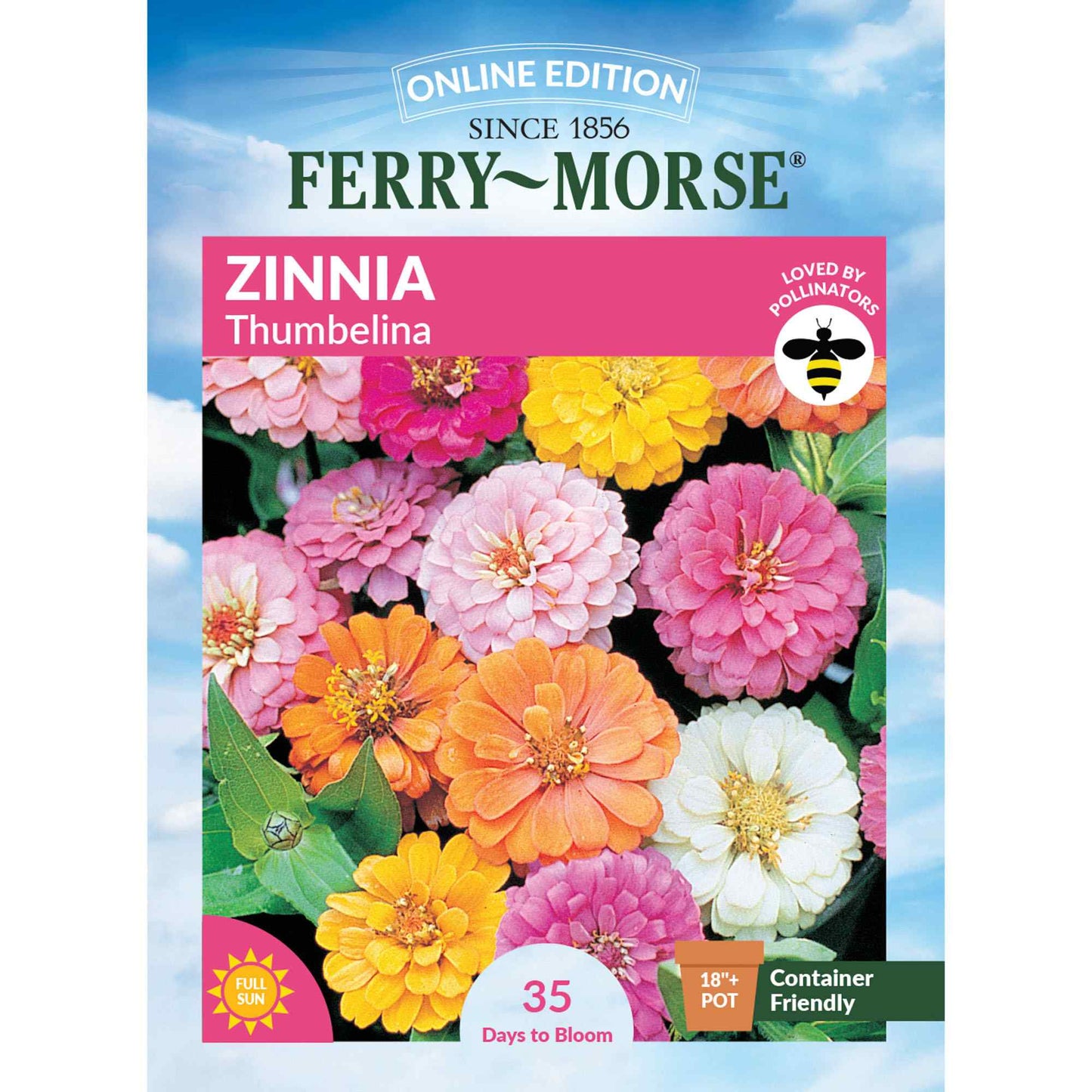 Zinnia, Thumbelina Mixed Colors Seeds