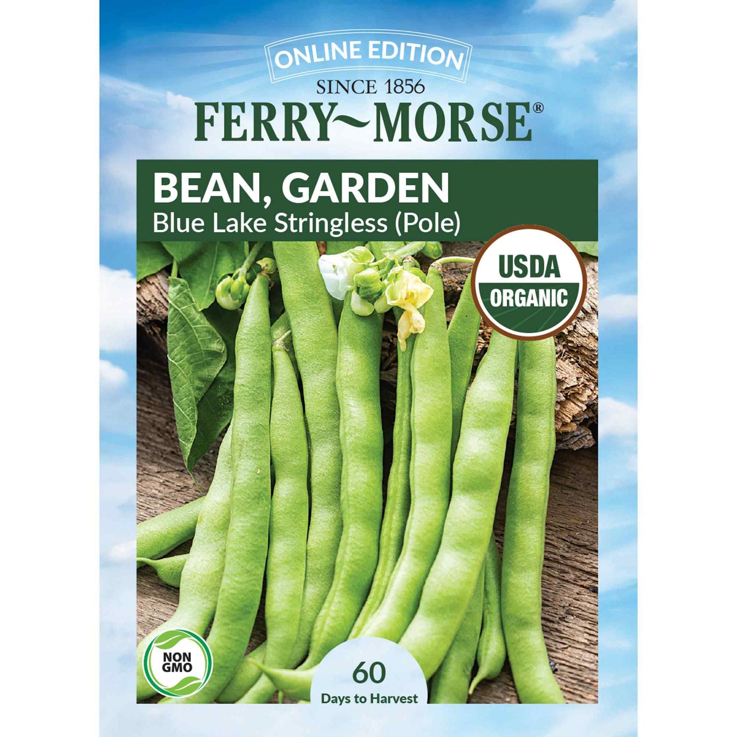 Bean, Blue Lake Stringless Pole Organic Seeds Online Edition