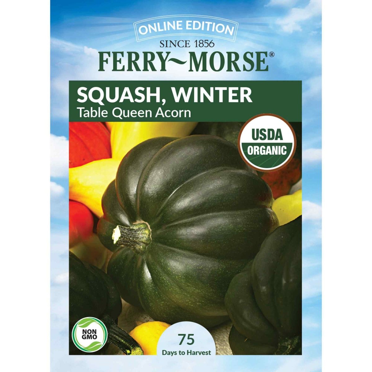 Ferry-Morse Table Queen Acorn Squash Seeds - Thumbnail 2