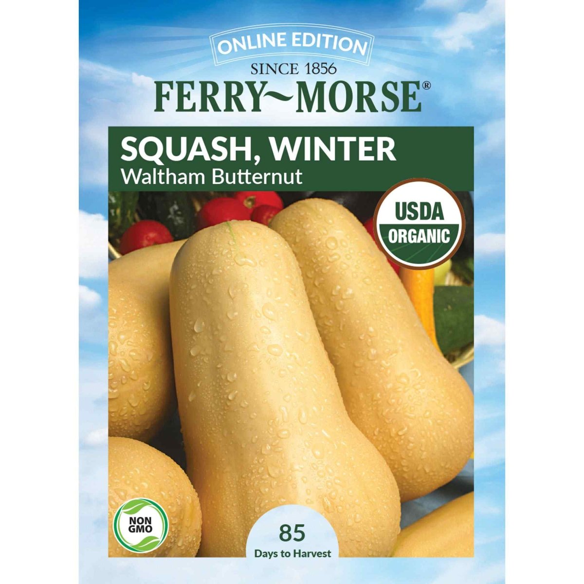 butternut squash seeds for planting Ferry-Morse Online Edition 5.3g Squash Waltham Butternut Seeds, Full Sun