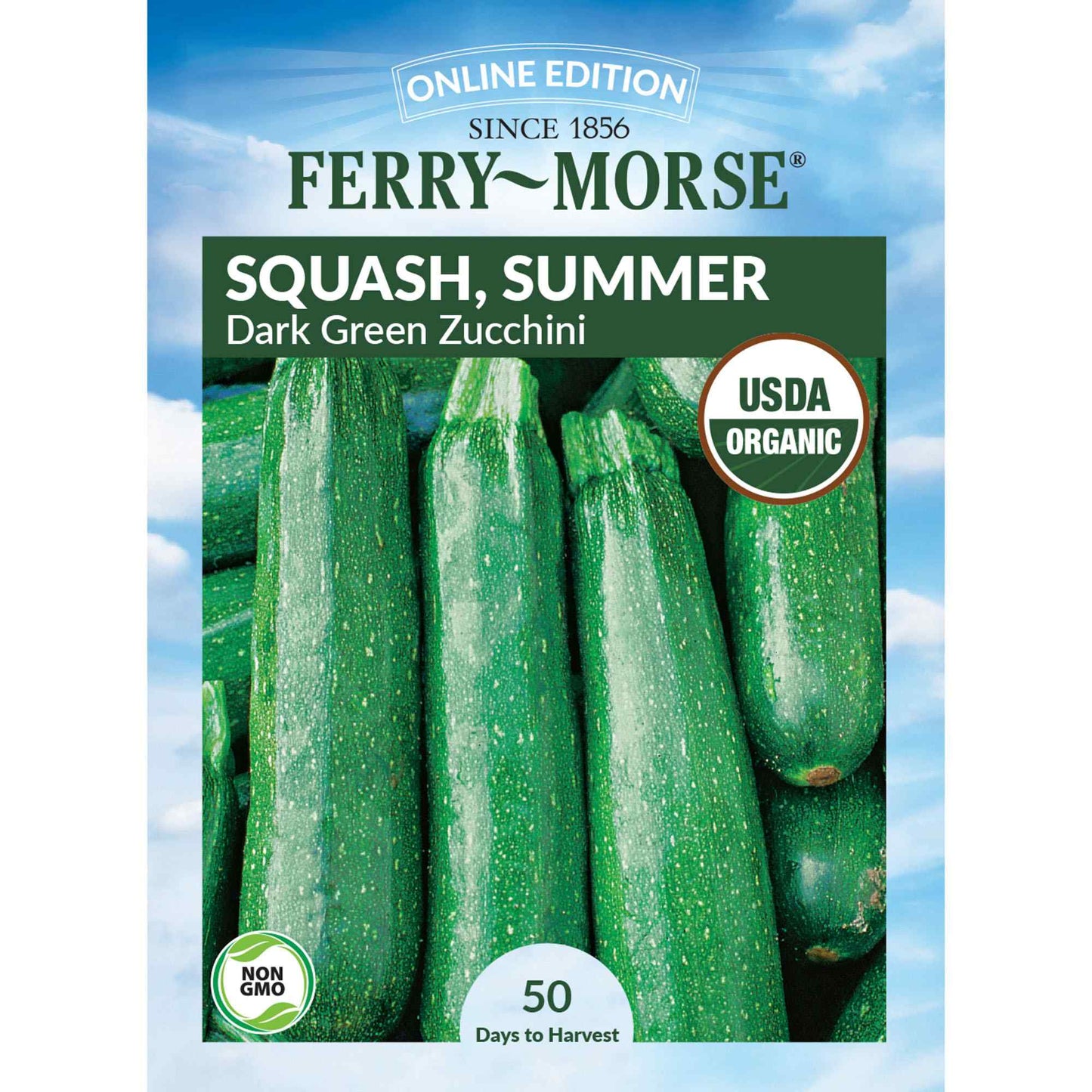 Squash, Dark Green Zucchini Organic Seeds Online Edition