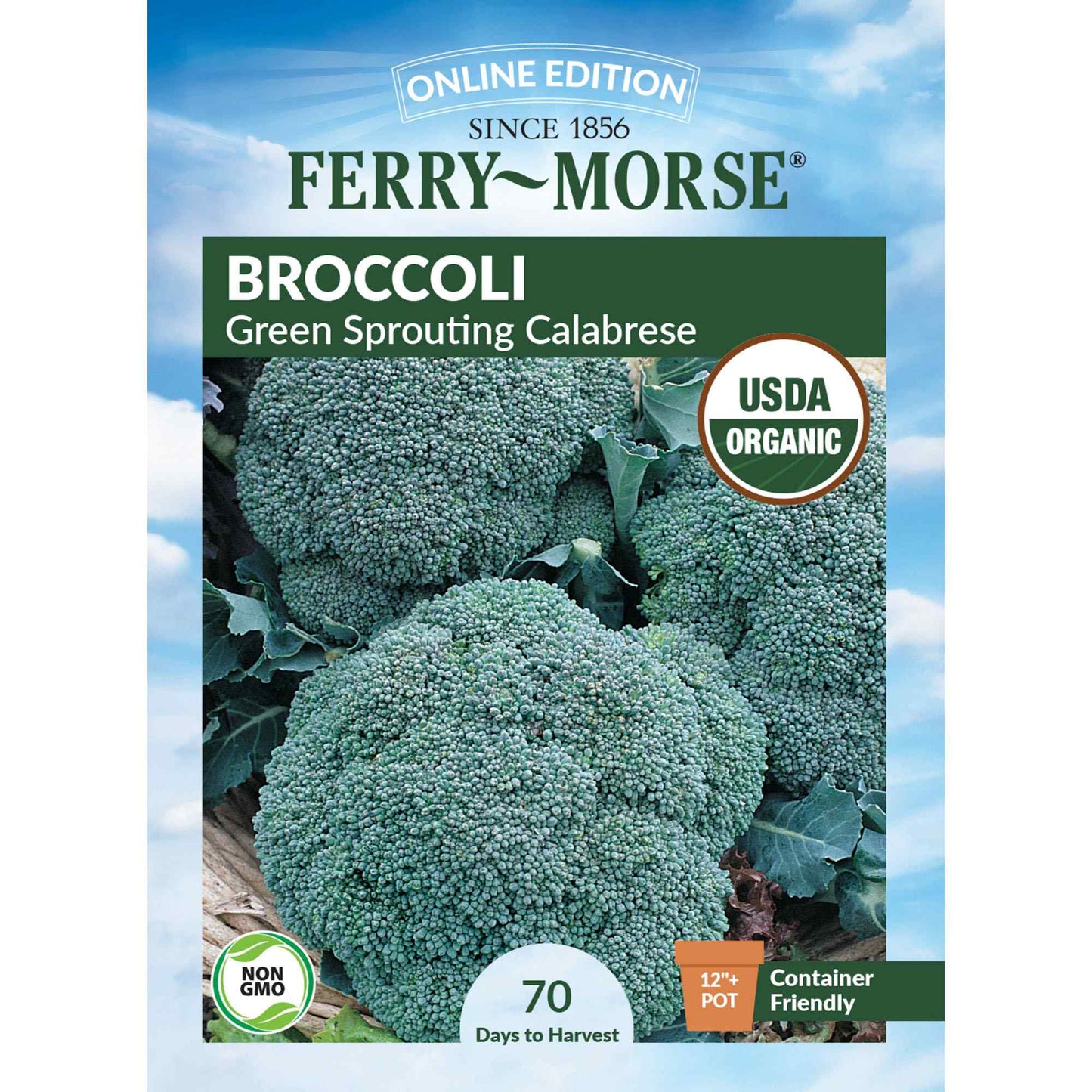 Broccoli, Green Sprouting Calabrese Organic Seeds