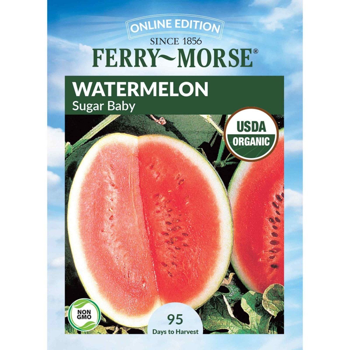 Watermelon Sugar Baby Organic Seeds Organic Watermelon Ferry-Morse