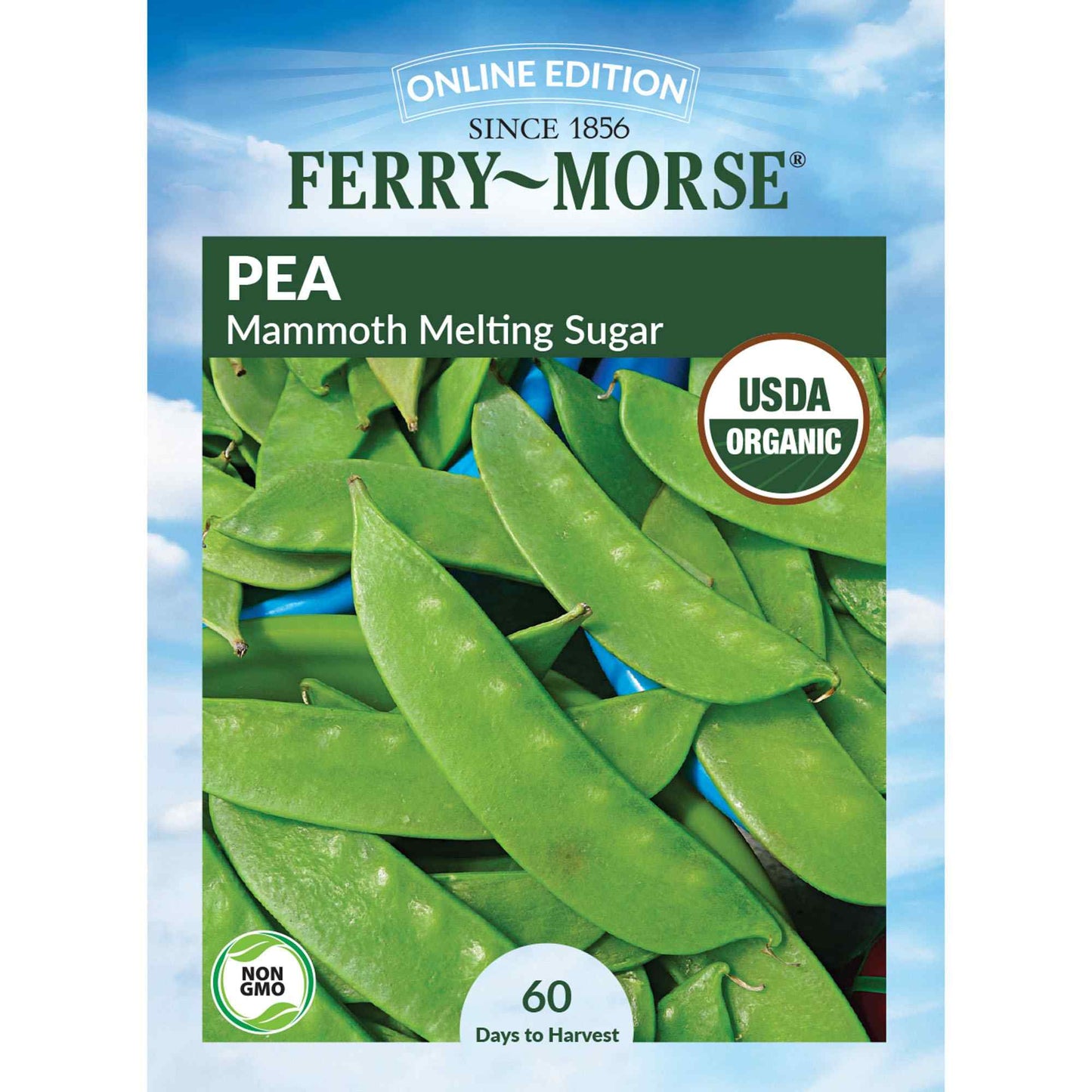 Pea, Mammoth Melting Sugar Pod Organic Seeds Online Edition